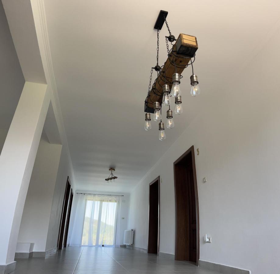 Pensiunea Lili'S House Buchin ภายนอก รูปภาพ