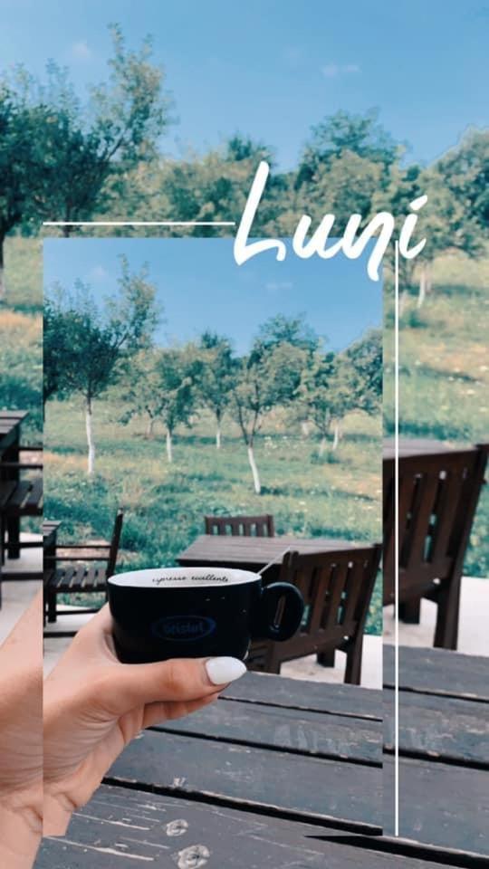 Pensiunea Lili'S House Buchin ภายนอก รูปภาพ